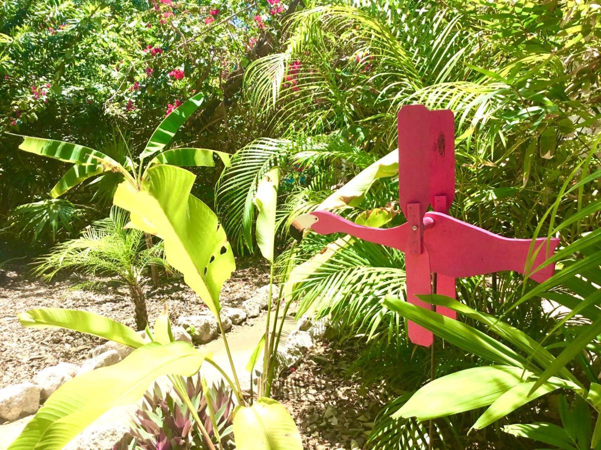 Camp Akumal - Hosted Family Bungalows Экстерьер фото